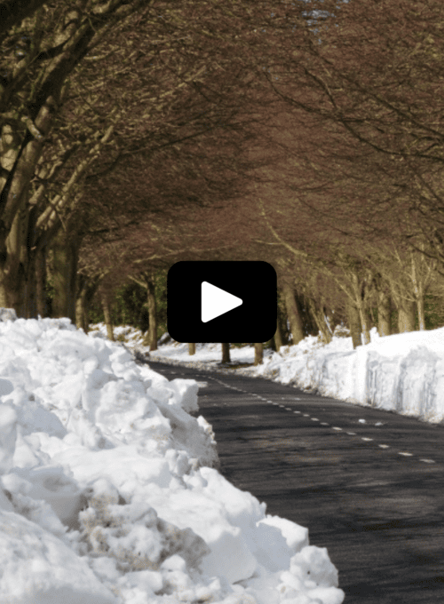 Snow Plowing serviceyt Snow Plowing Services