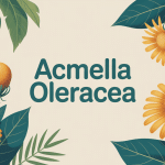 acmella oleracea illustration plante fleurs jaunes et feuilles