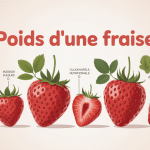 poids d'une fraise différentes tailles repères nutritionnels