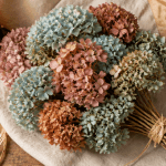 hortensia comment les faire secher bouquet séché flat lay