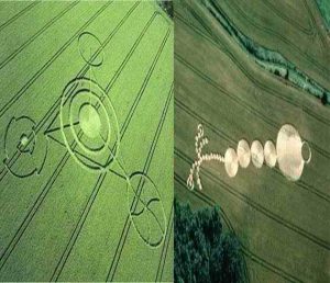 Read more about the article Bruce Gender and the Confused ones.