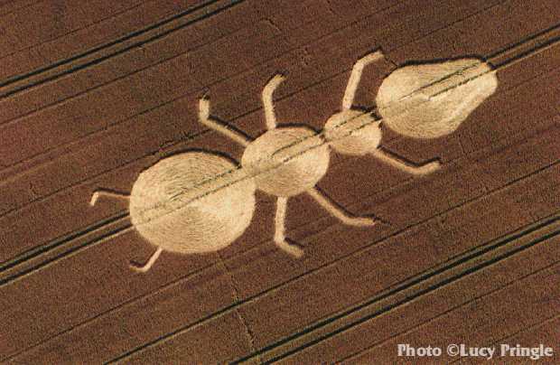 You are currently viewing Consider her ways?