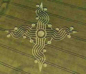 Read more about the article We learn nothing,  so why even bother?