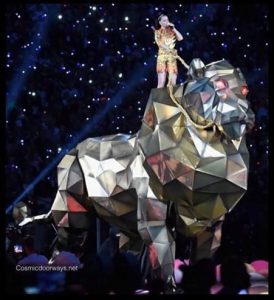 Read more about the article The woman and the beast…