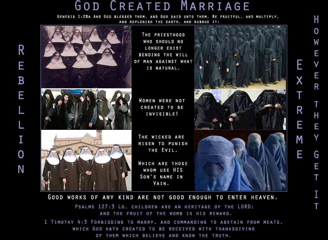 Those who have studied the Bible know that before the fall of man a heavenly rebellion took place. No women existed so the first spirits of the rebellion only wanted to rule above the SON. Women were sought after by angels in the second rebellion before the flood. One is Satan's group the other is Prince of persia's group however without the spirit of G-d any demon can use you.