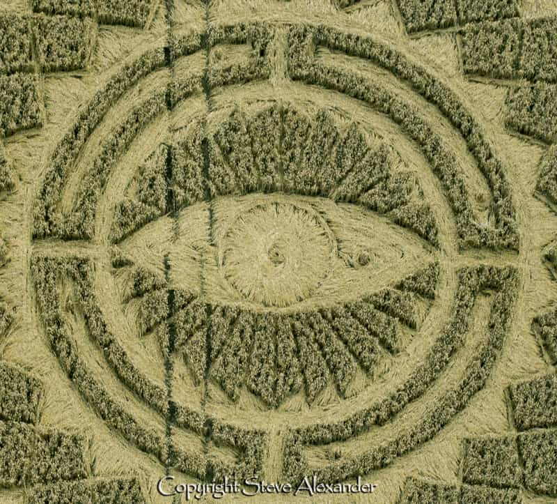 Read more about the article Being watched 24/7