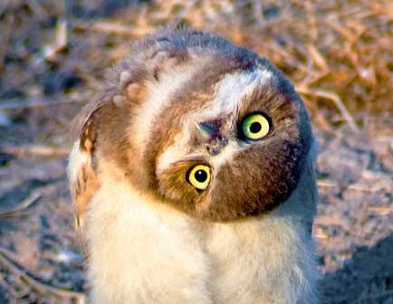 You are currently viewing It’s All In The Way You Look At Things.