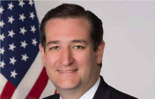 Read more about the article I Support Ted Cruz Here’s Why