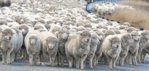 Read more about the article Shining Light on the “Falling Away”