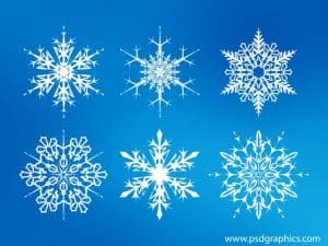 Read more about the article Treasures in the Snow