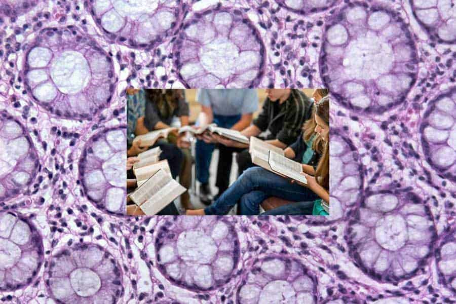 You are currently viewing Cell Groups I wish I had thought of That!