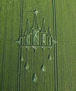 Read more about the article Another Coincidence Muslims and Mormons?