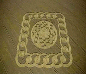 Read more about the article Reading the Bible for Yourself is Fundamental <span class="pa-callout-right">More Light Added</span>