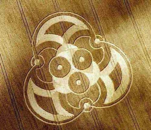 You are currently viewing A Closer Look at the TRINITY