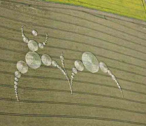 Read more about the article Transgender and the art of Confusion