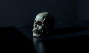 Read more about the article The Curse