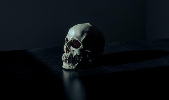 Read more about the article The Curse