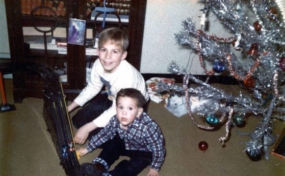 Read more about the article Killer Christmas Trees – The damage they have done.