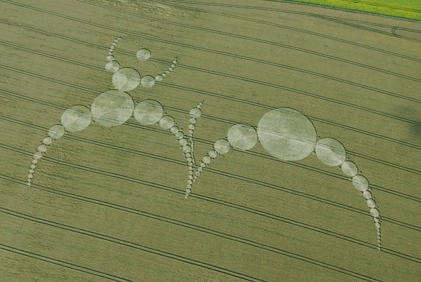 31-East-Field-Alton-Barnes-Wilts-07-07-2007-Wheat-OH