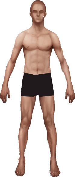 Dress me as you would want to present me before a Holy King of Israel.