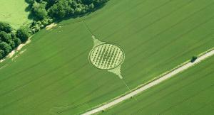 Twin Towers Fall - Who Is Really To Blame?