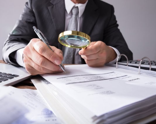 auditoria – procesos operativos | linnnoit