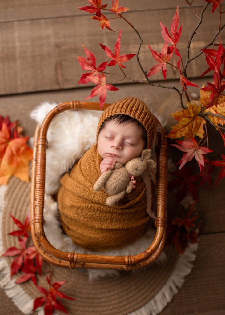 Edmonton boy newborn photography with fall leaves