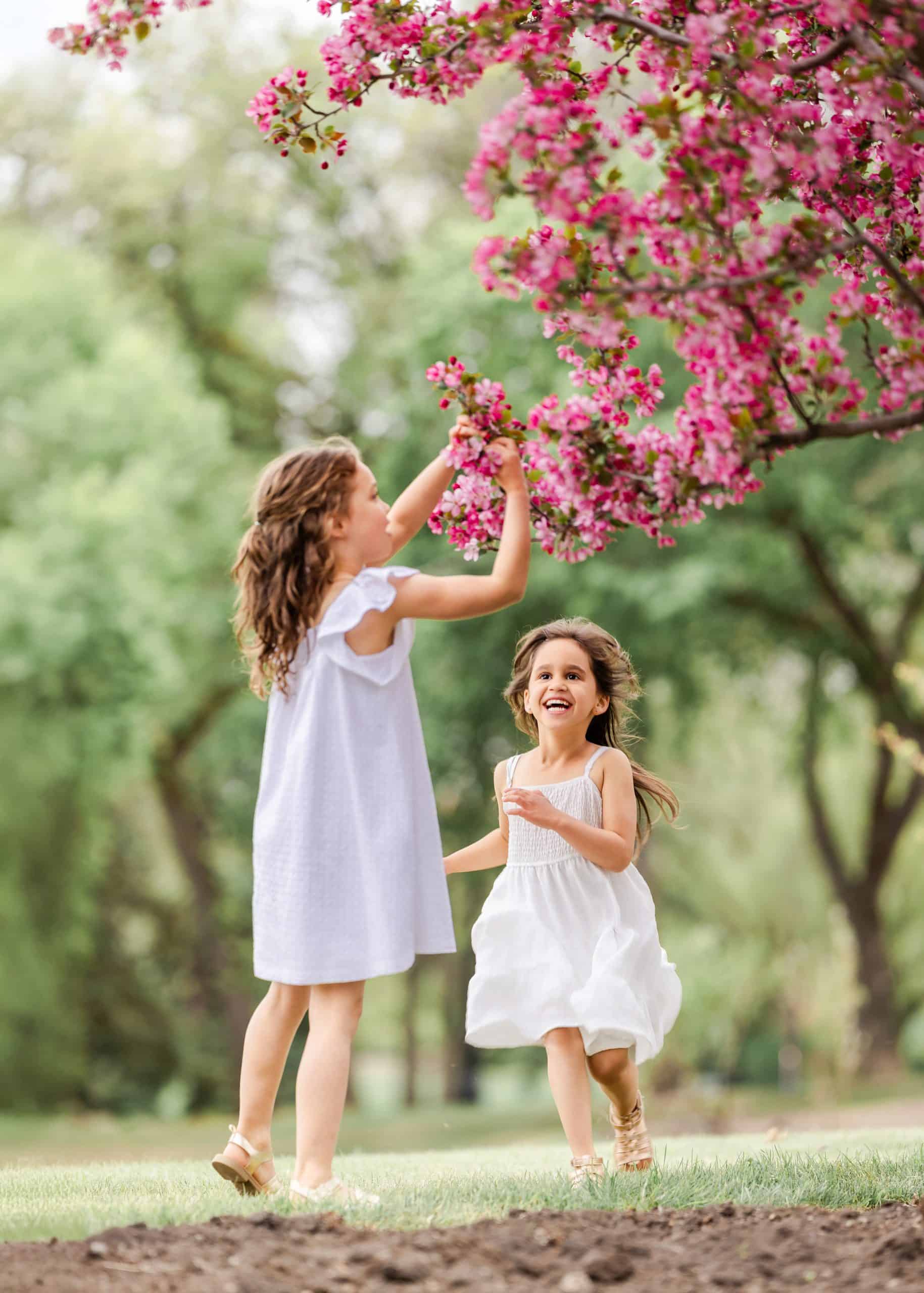 sibling girls running under the flower tree in Edmonotn legislation buiding during family photoshoot