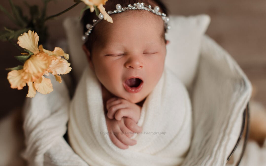 Winter Newborn Photography in Edmonton: What Parents Should Know