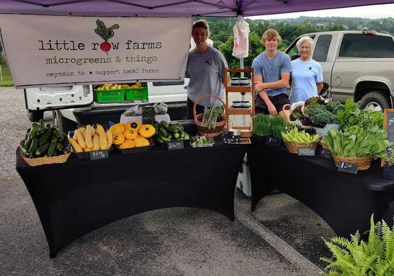 Little Row Farms microgreens and vegetable stand - frequently asked questions