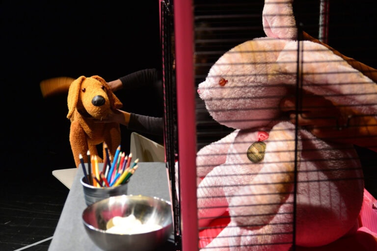 Ebcsont és nyúlcipő