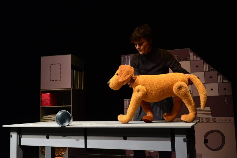 Ebcsont és nyúlcipő