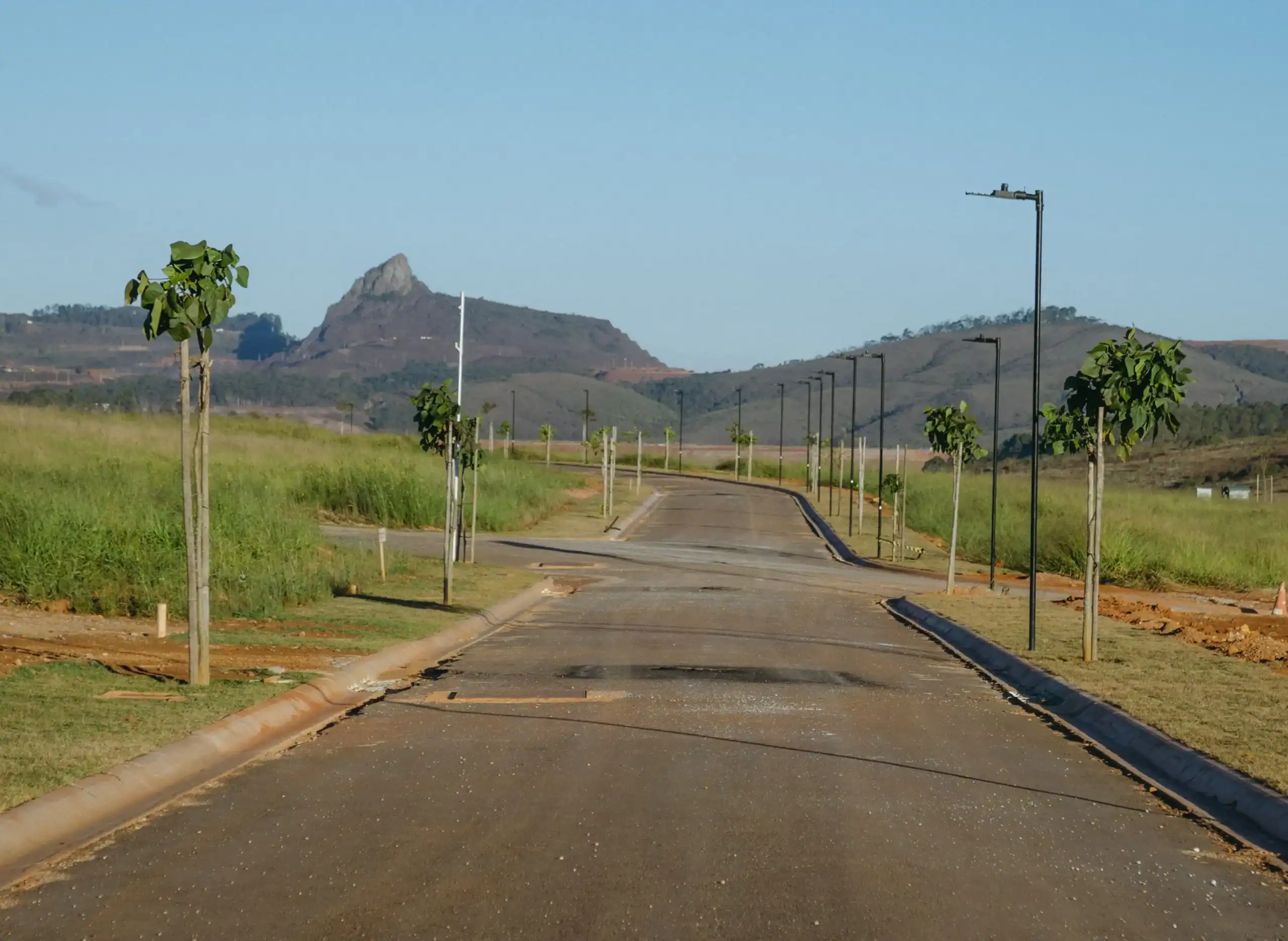 Arborização do Condomínio Alphaville