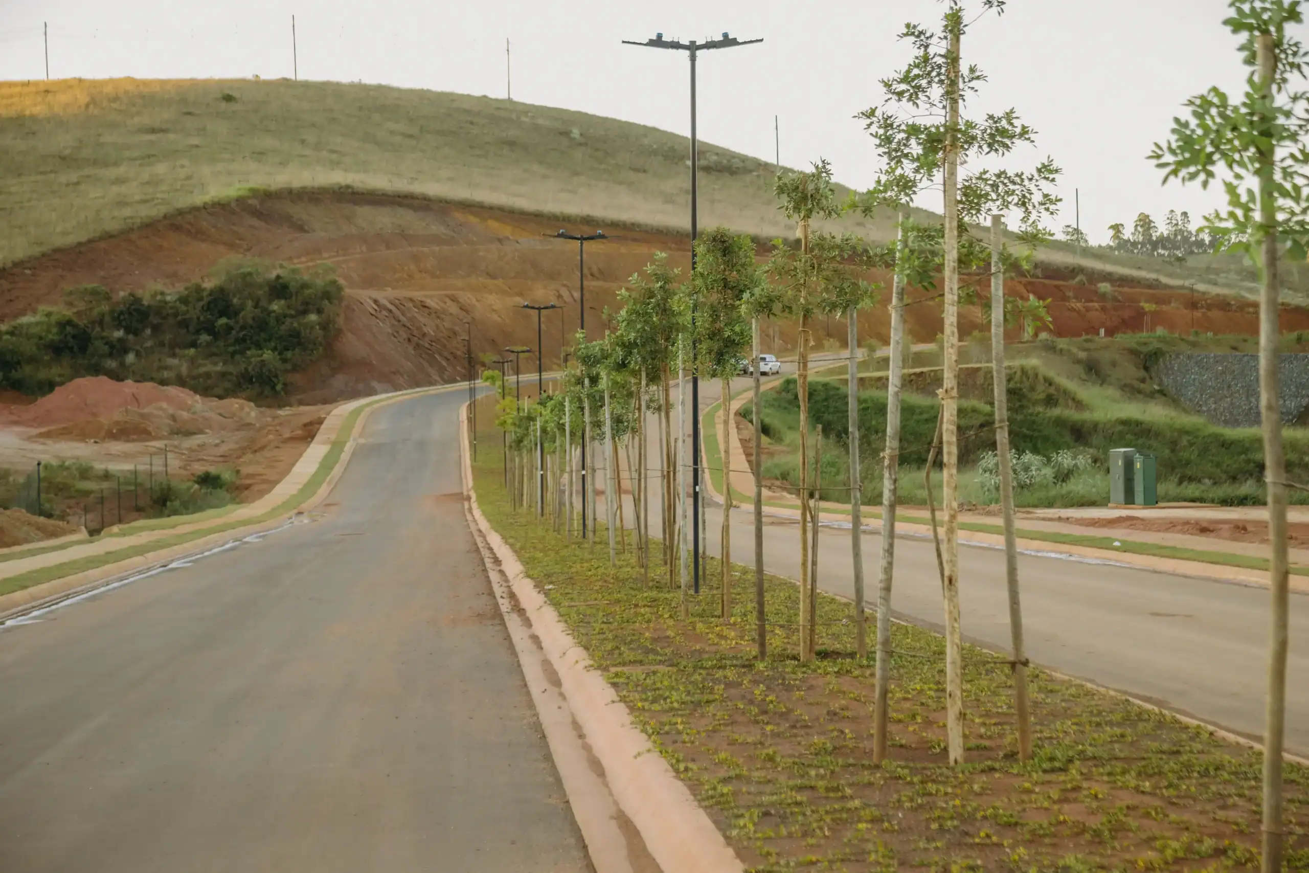 Arborização do Condomínio Três Vales