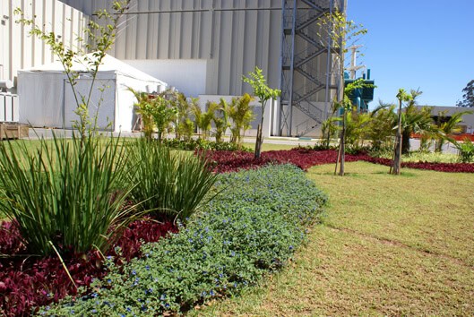 Projeto paisagístico em área corporativa