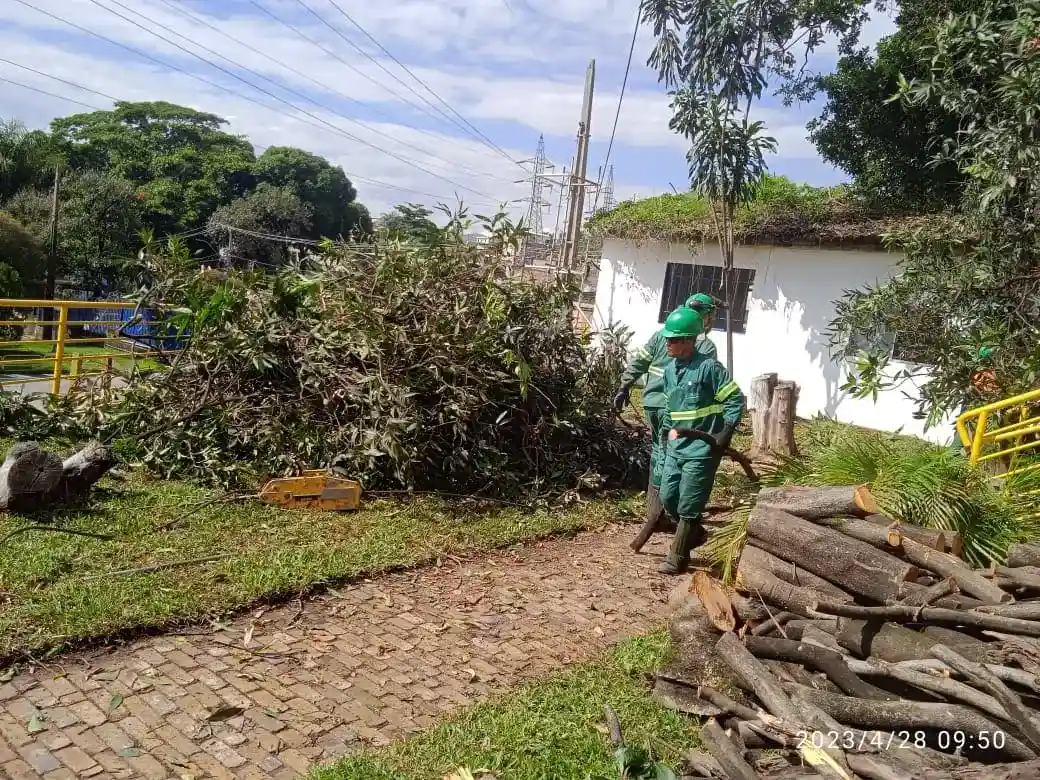 Supressão vegetal em obra de grande porte