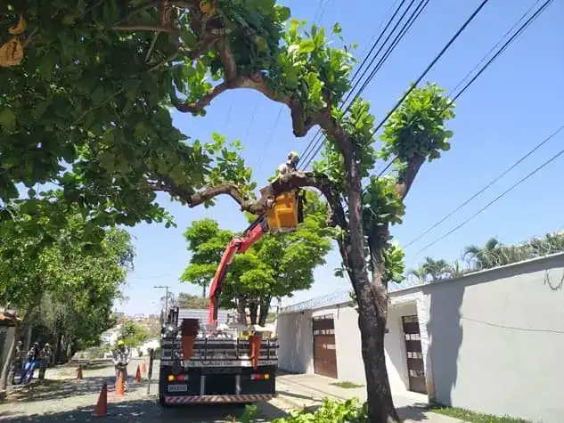 Equipe Regga realizando supressão vegetal com equipamento adequado