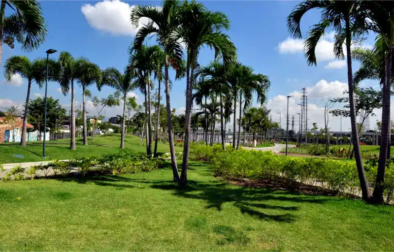 Praça pública com gramado entregue