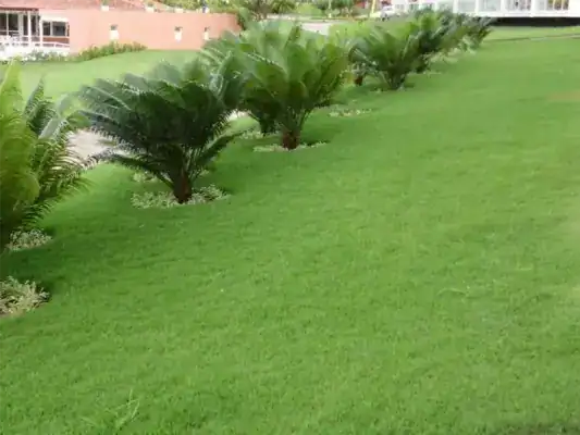 Clube de lazer com gramado mantido