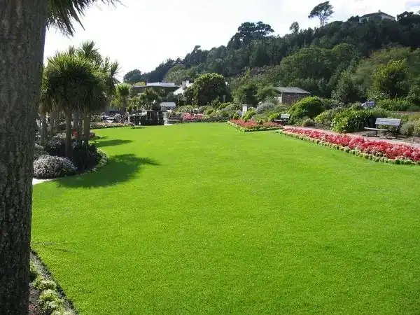 Grama natural recém-plantada em condomínio