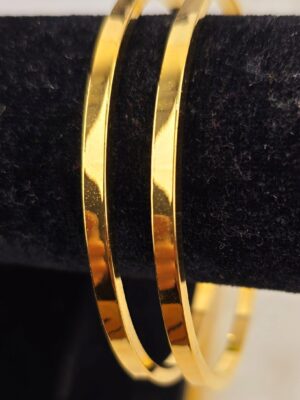 Premium Everyday Wear Bangles – (B-121)
