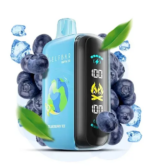 ELF BAR RAYA D3 25000 Blueberry Ice