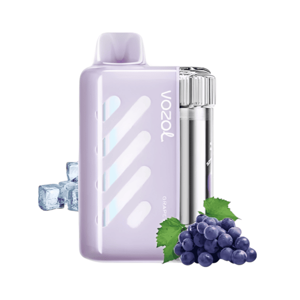 Vozol Vista 40000 Grape Ice