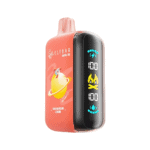 ELF BAR RAYA D3 25000 Watermelon Lemon