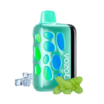 Vozol Rave 40000 Cool Mint