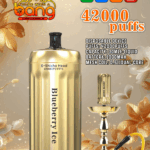 Bang Blaze 42000 Blueberry Ice