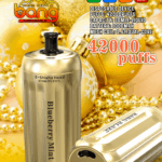 Bang Blaze 42000 Blueberry Mint