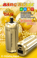 Bang Blaze 42000 Blueberry Mint