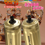Bang Blaze 42000 Grape Mint
