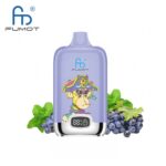 Fumot Digital Box 12000 Grape Mint